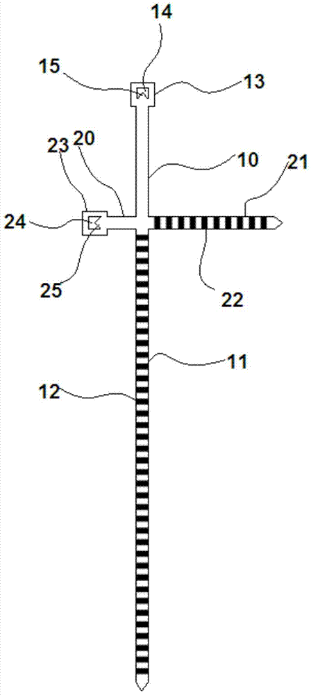 A long-distance transport method suitable for live sea bass