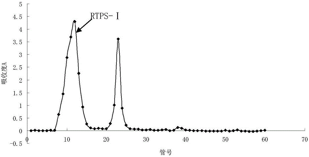 Homogeneous snakegourd root polysaccharide with immunization activity and antitumor effect, and application thereof