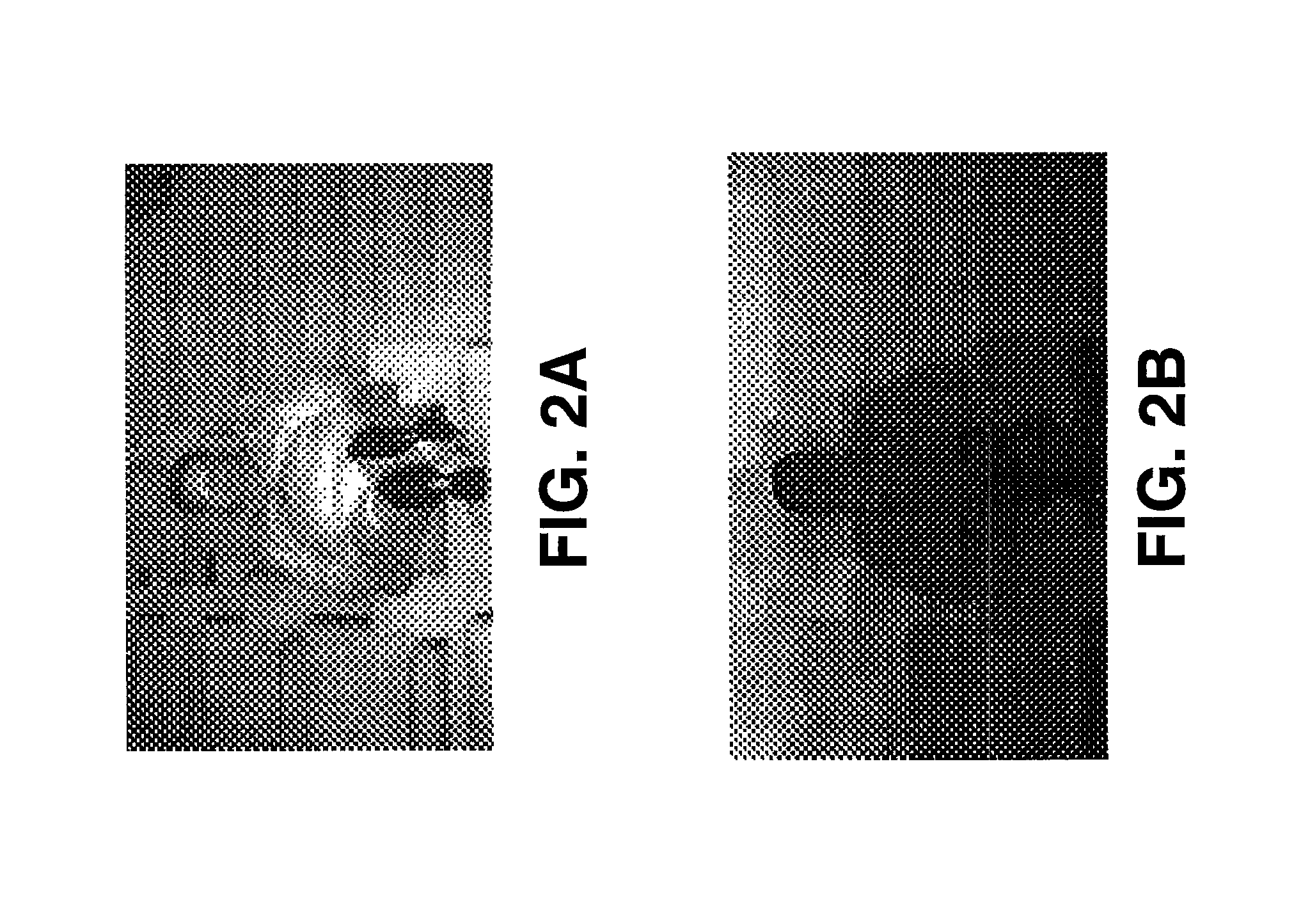 Adjusting digital image exposure and tone scale