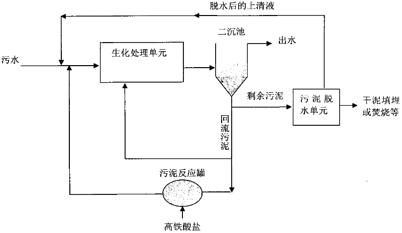 Novel sewage treatment process utilizing ferrate oxidization to reduce sludge quantity