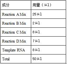 Method for capturing whole genome from adenovirus, primer group and kit