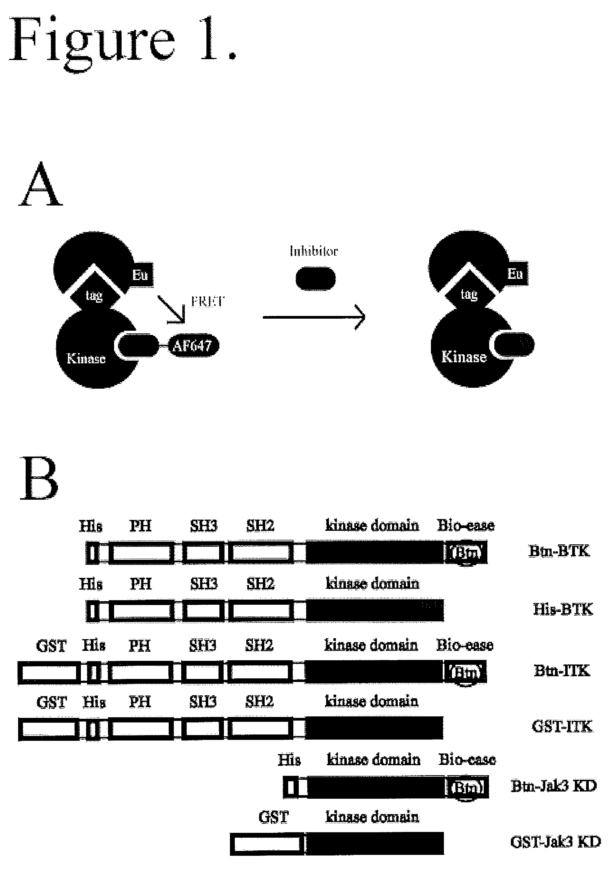 FRET-based binding assay