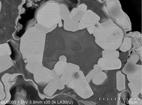 A kind of precursor of hollow positive electrode material and preparation method thereof