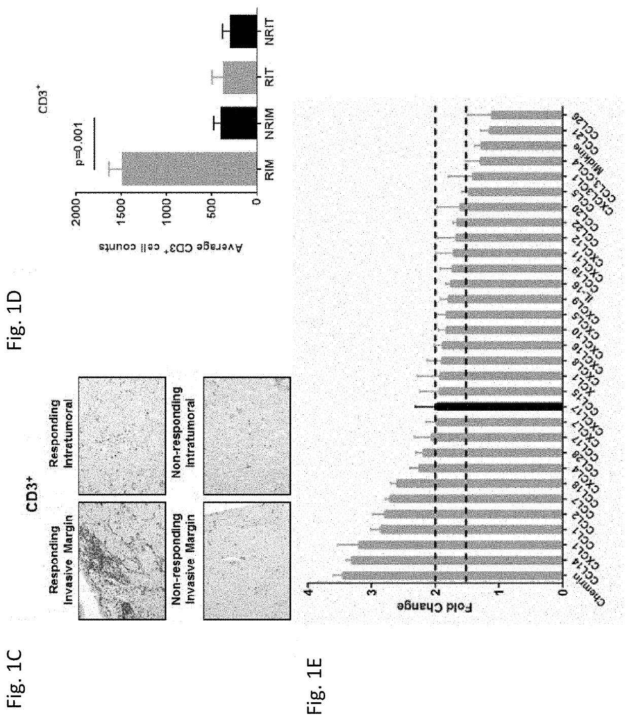 Methods for predicting responsiveness of a cancer to an immunotherapeutic agent and methods of treating cancer