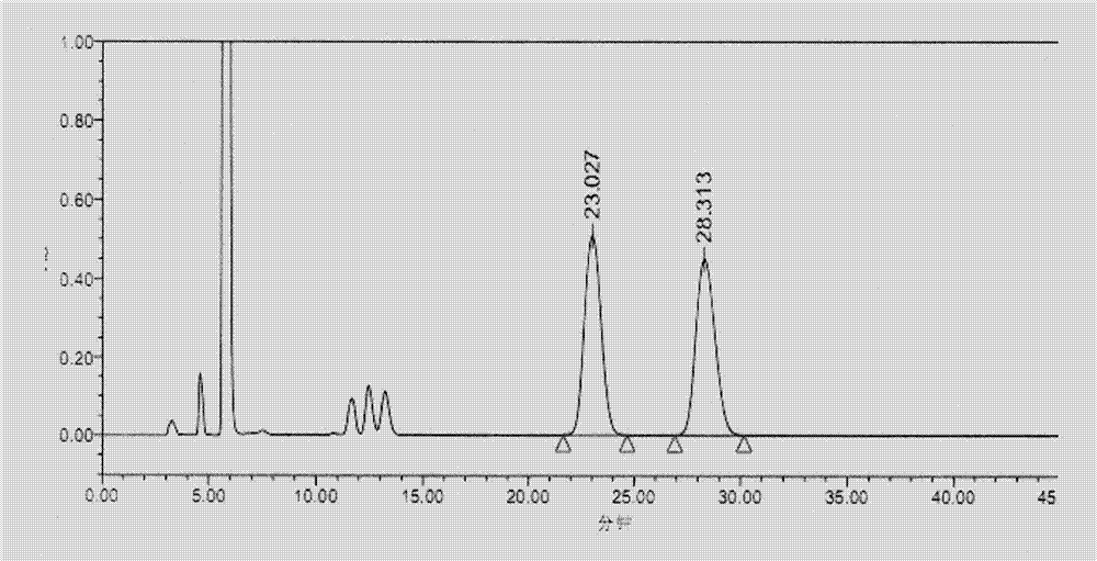 Separation detection method of pregabalin chiral isomers