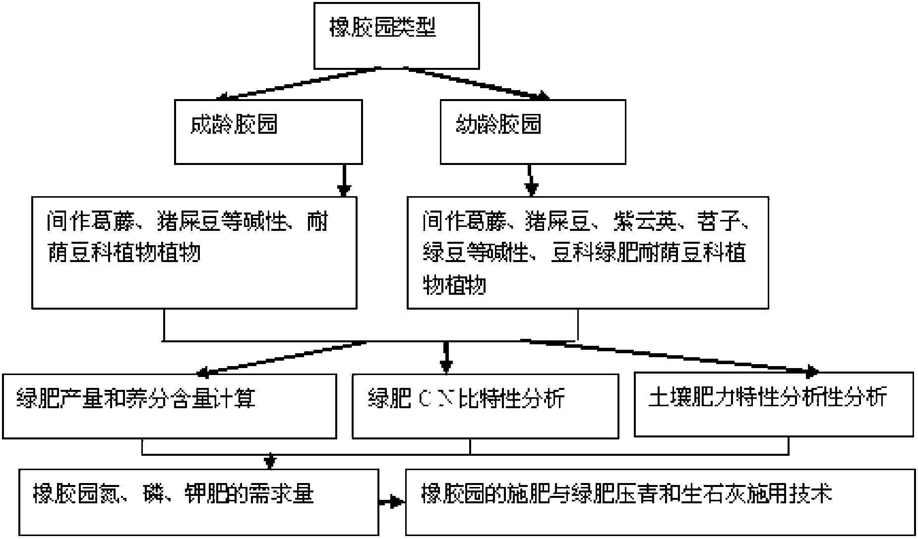 Acidified soil improvement method for rubber plantation