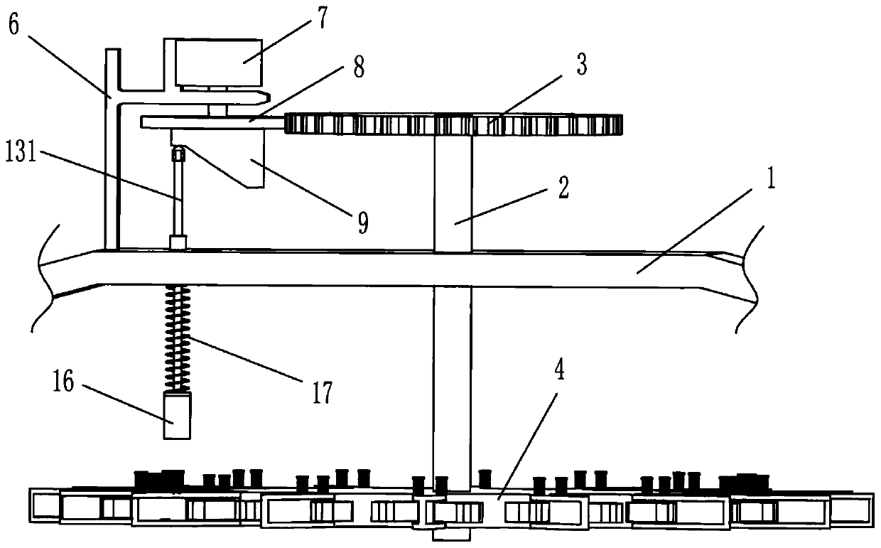 Bell pepper seed removing device