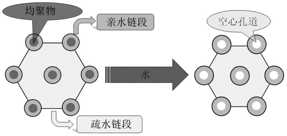 Polylactic acid (PLA) star-shaped diblock-copolymer medicinal functional material