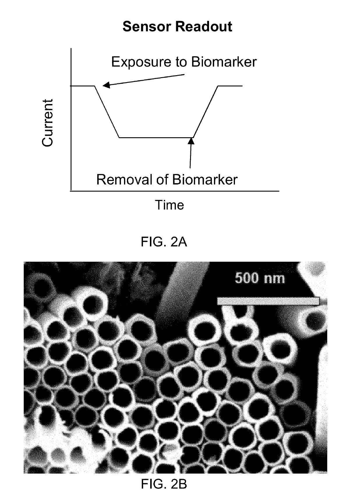 Functionalized nanotube sensors and related methods