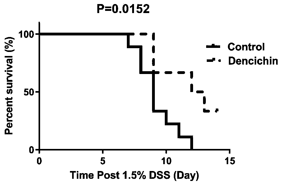 Purpose of Dencichine to preparation of medicines for treating inflammatory intestinal diseases