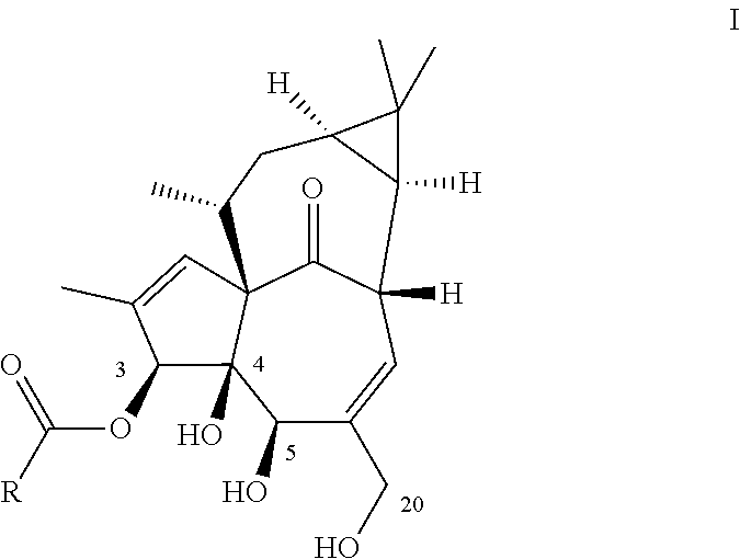 Ingenol-3-acylates III and ingenol-3-carbamates