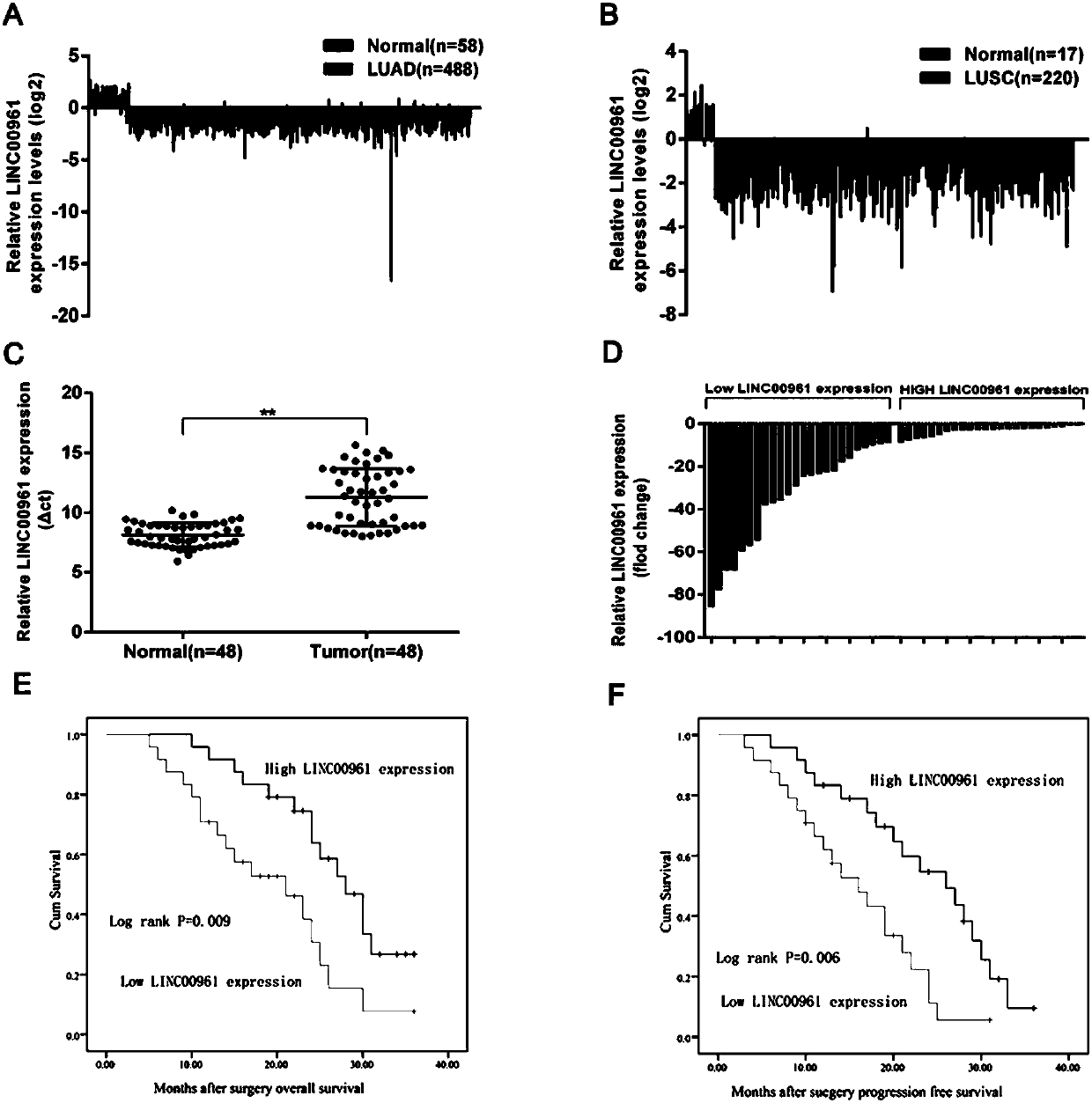 Long non-coding RNA (Ribose Nucleic Acid) and application thereof to diagnosis/treatment of non-small-cell lung cancer