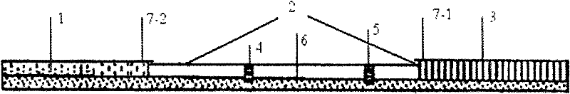 Kit and method for detecting beta-lactamase