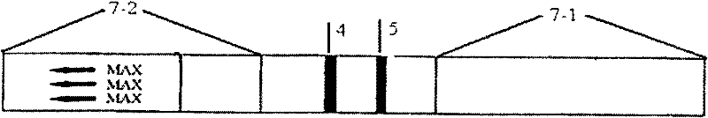 Kit and method for detecting beta-lactamase