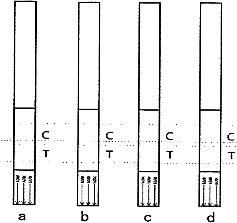 Kit and method for detecting beta-lactamase