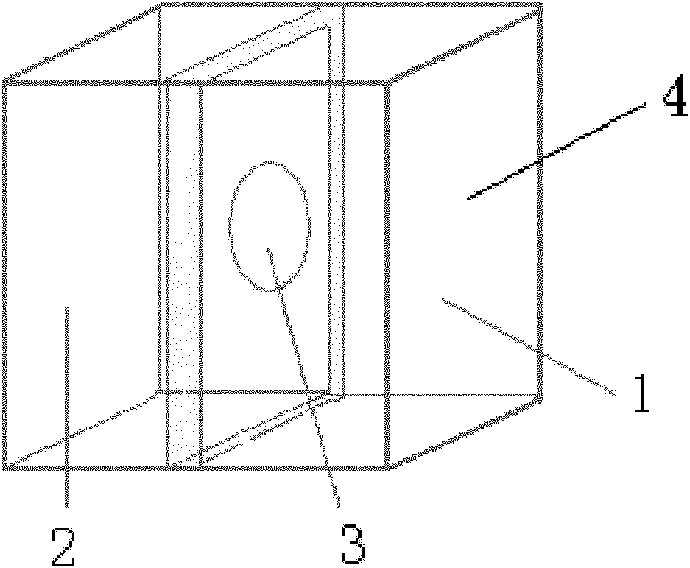 Method for preparing magnetic nanotube