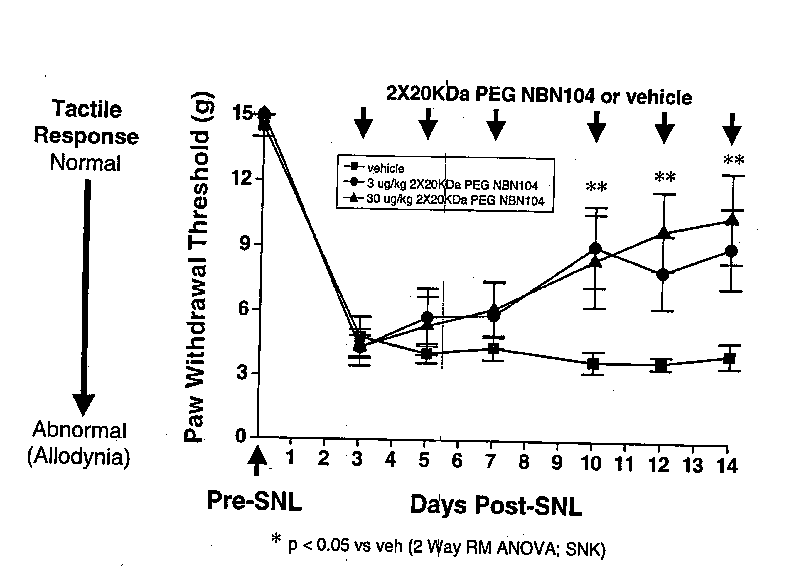 Polymer-Conjugated Glycosylated Neublastin