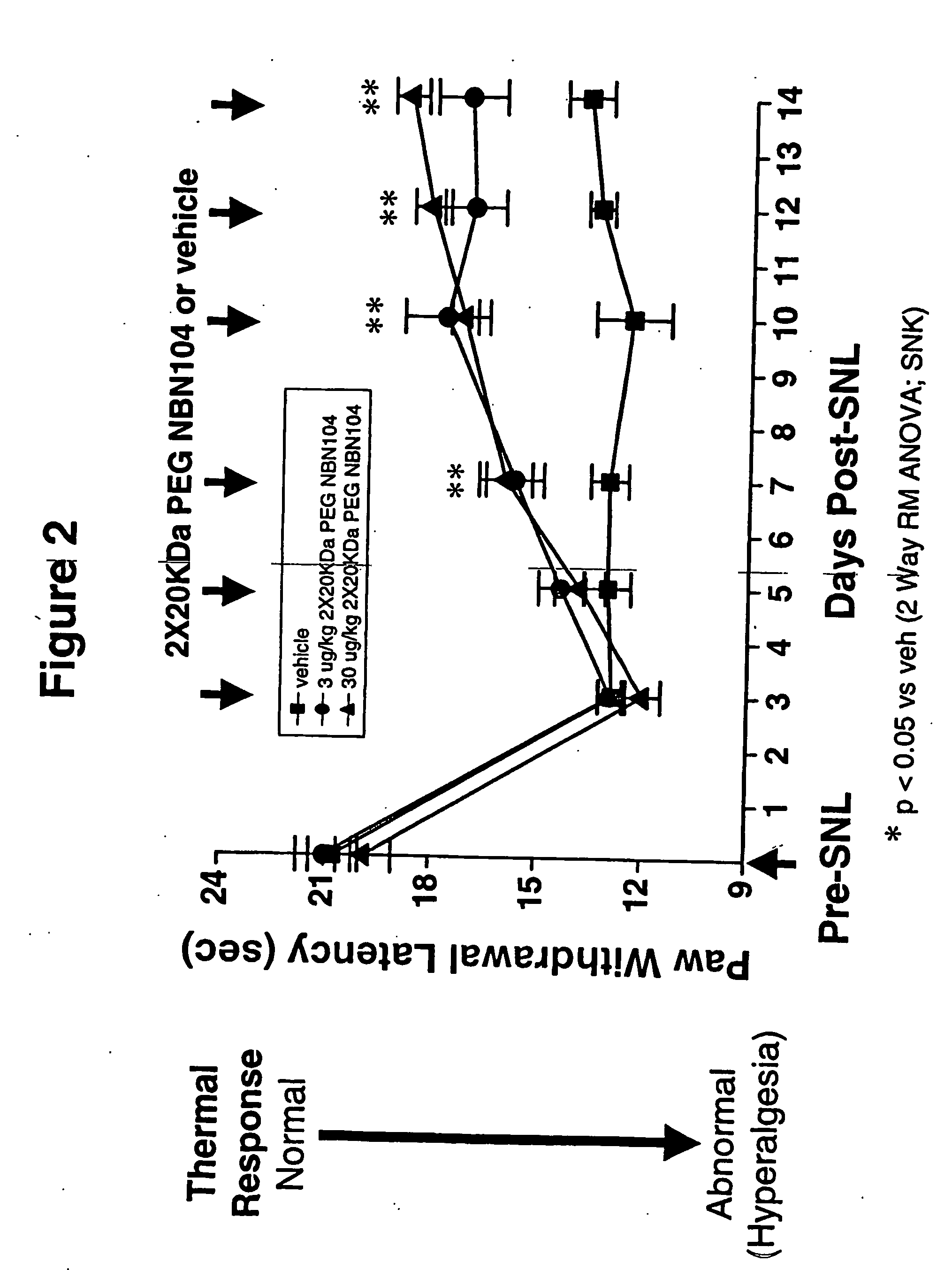 Polymer-Conjugated Glycosylated Neublastin