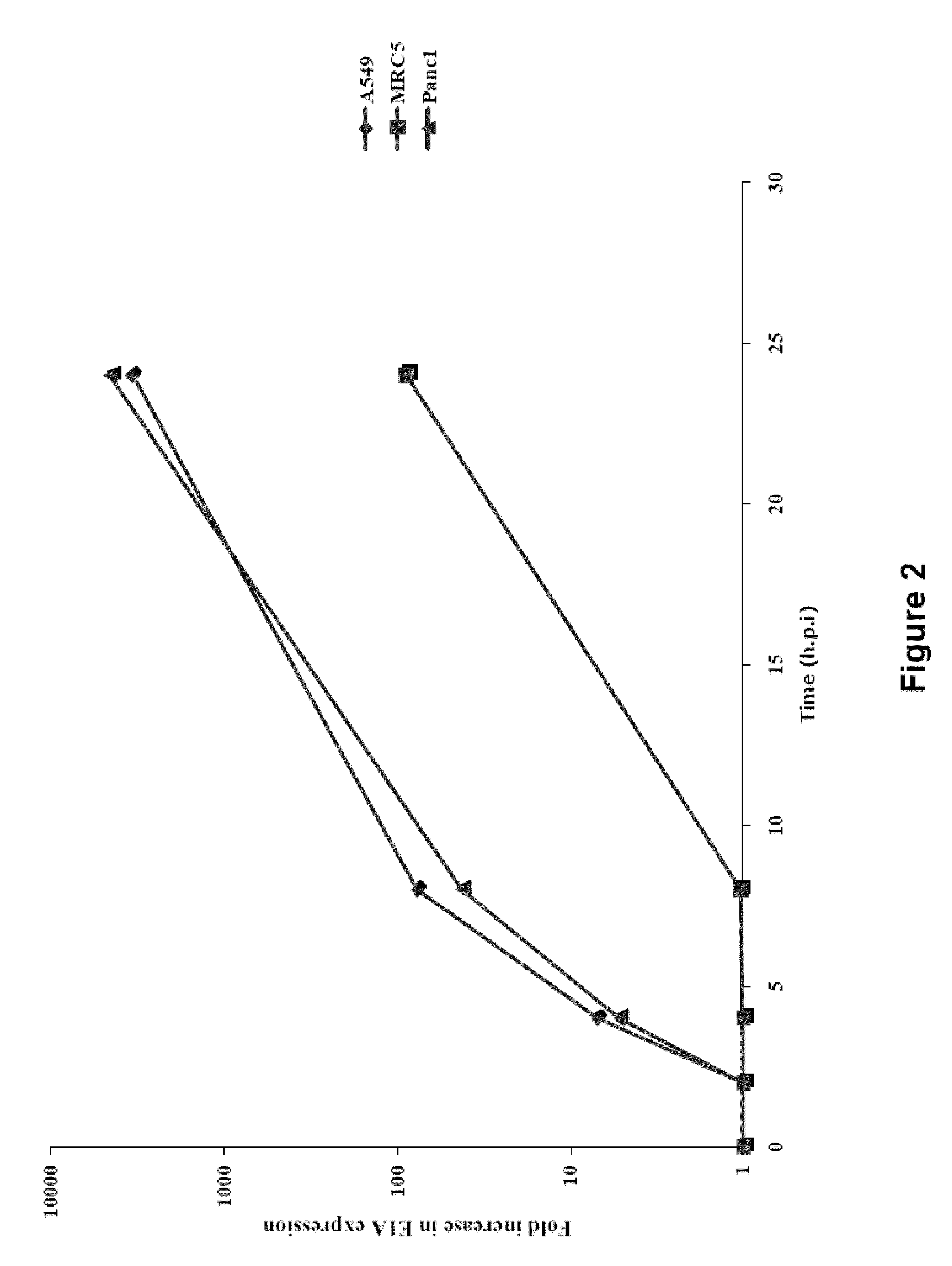 Tumor selective E1a and E1b mutants