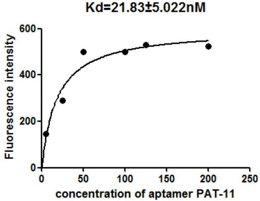 An oligonucleotide aptamer that specifically recognizes patulin