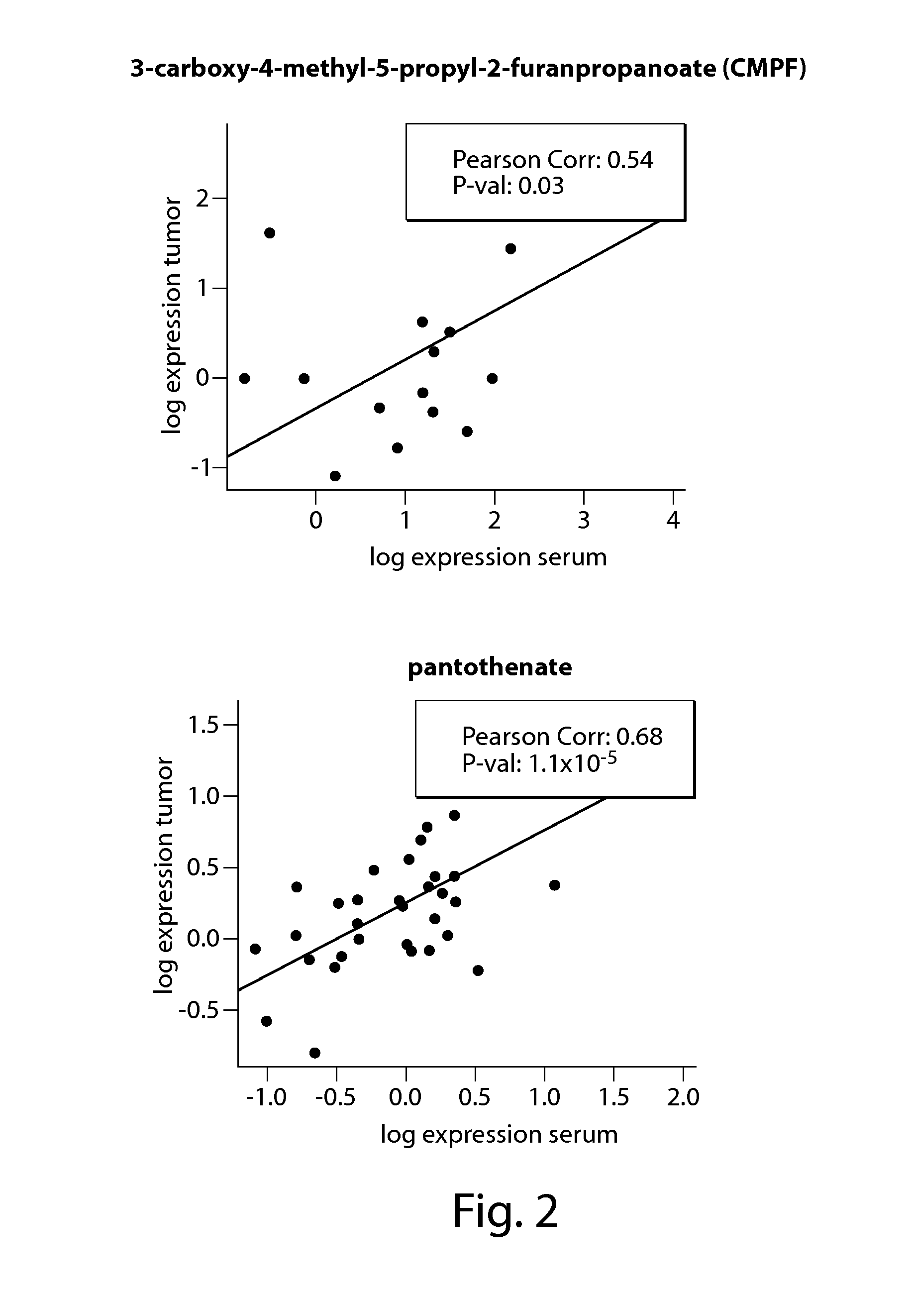 Metabolic profiling in tissue and serum is indicative of tumor differentiation in prostate cancer