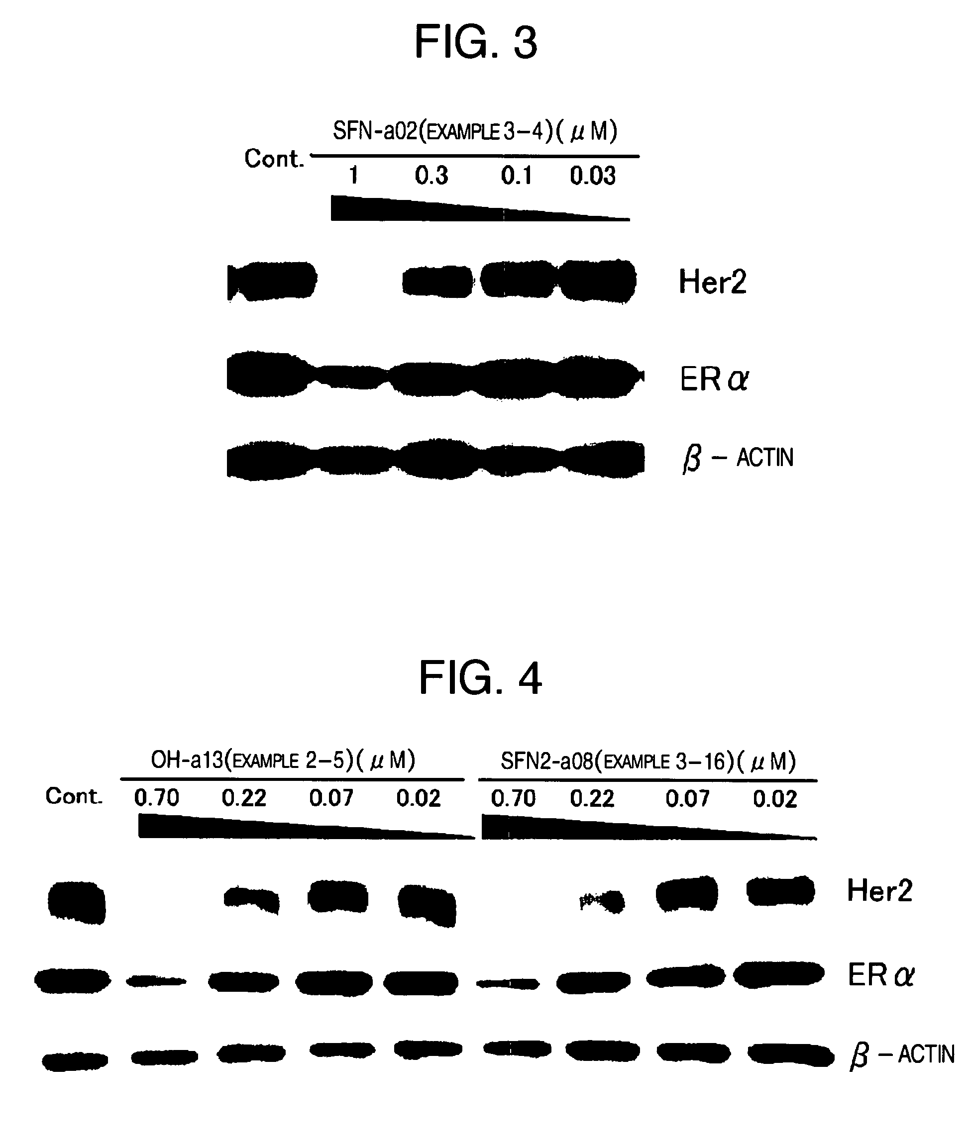 HSP90 inhibitor