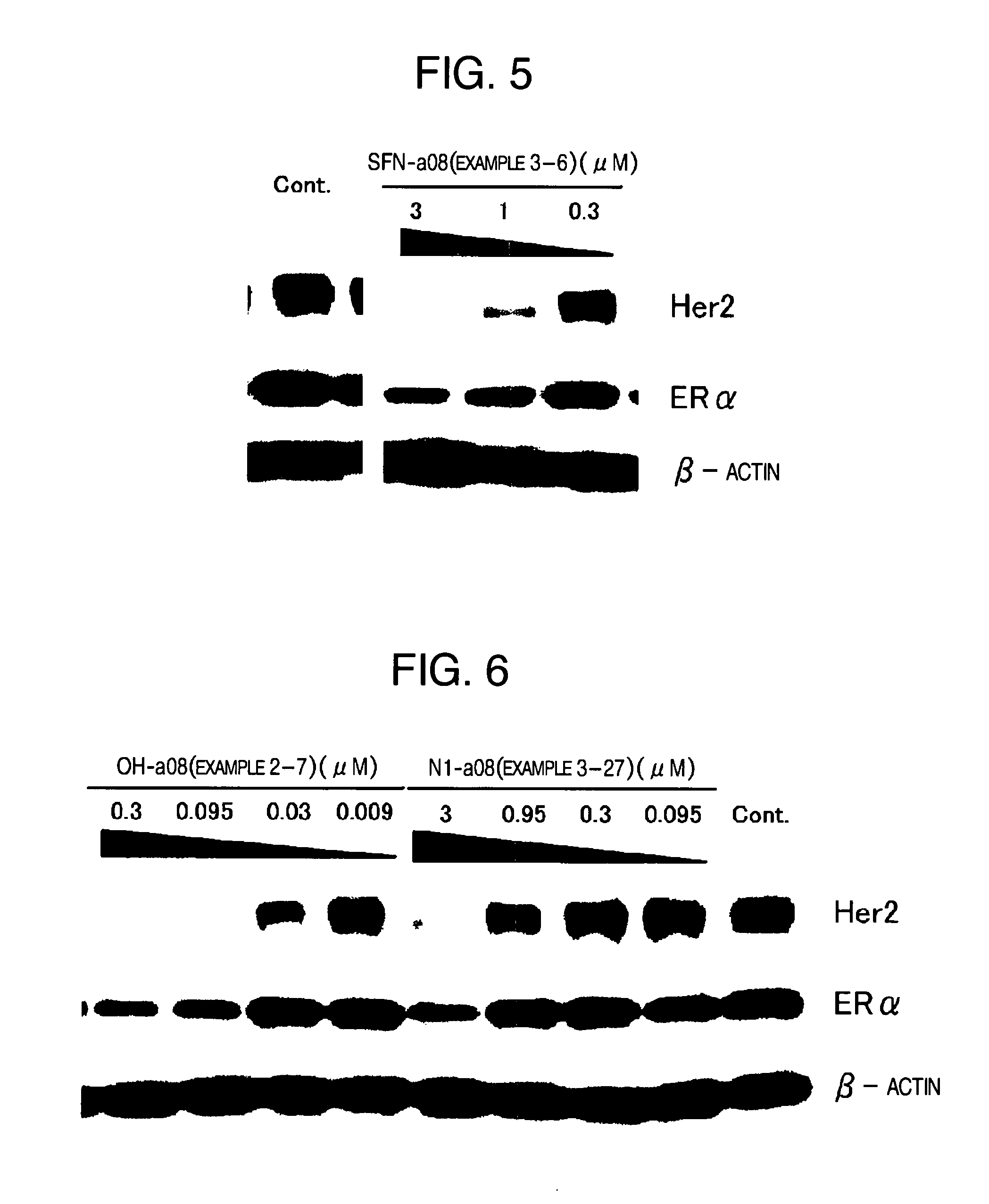 HSP90 inhibitor