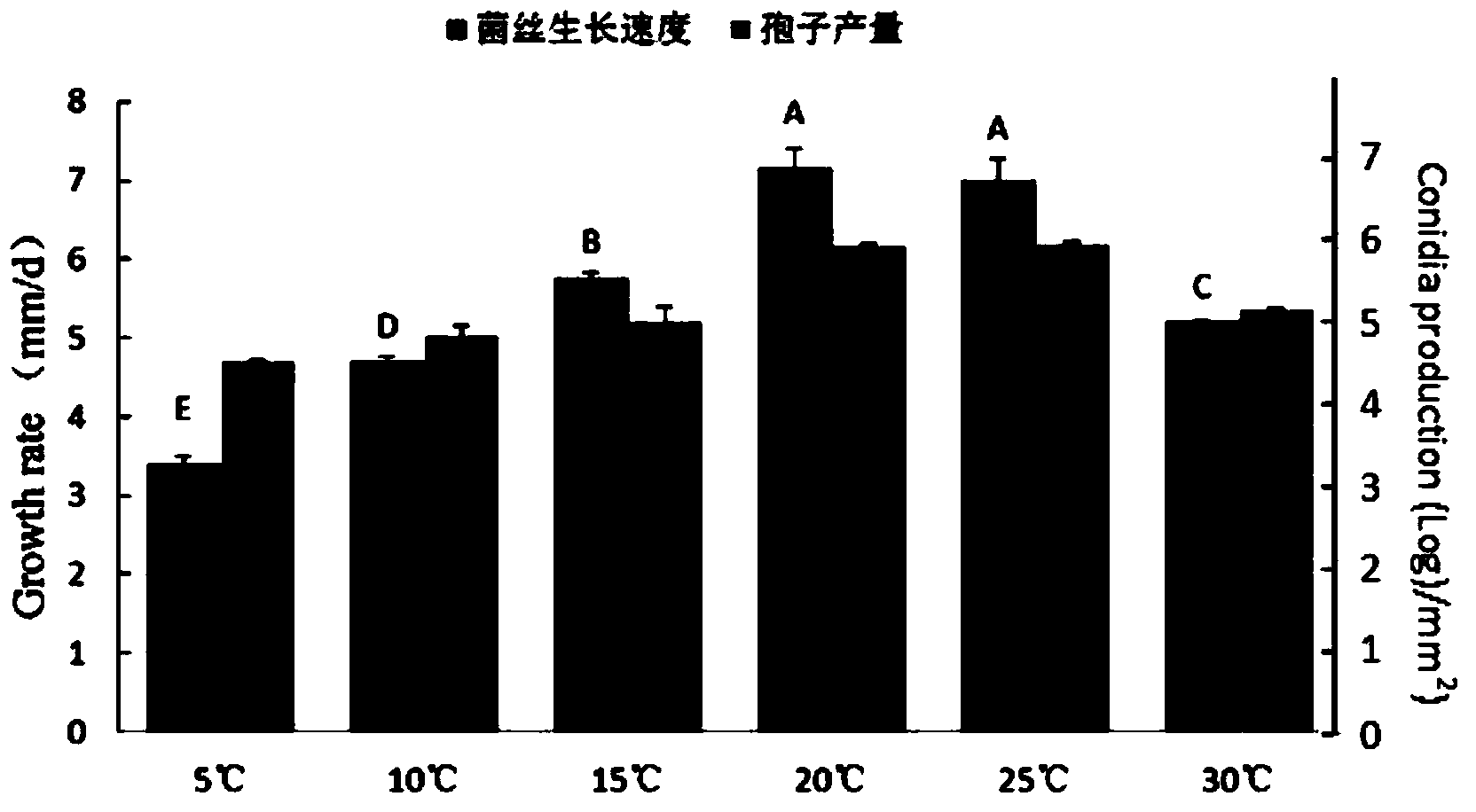 Microdochium bolleyi F10 strain microbial inoculum as well as preparation method and application thereof