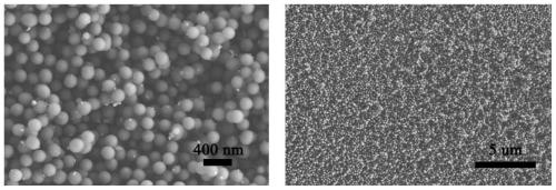 A kind of preparation method of 5-hydroxyl-1-tetralone