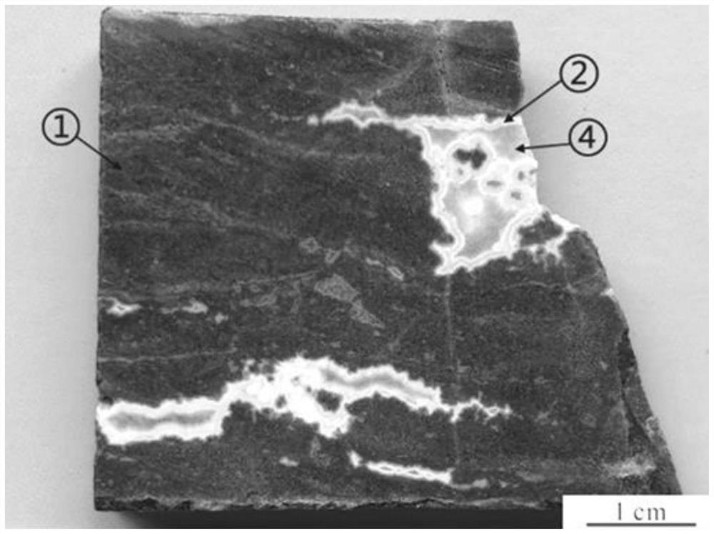 Carbonate rock diagenetic environment evolution history recovery method