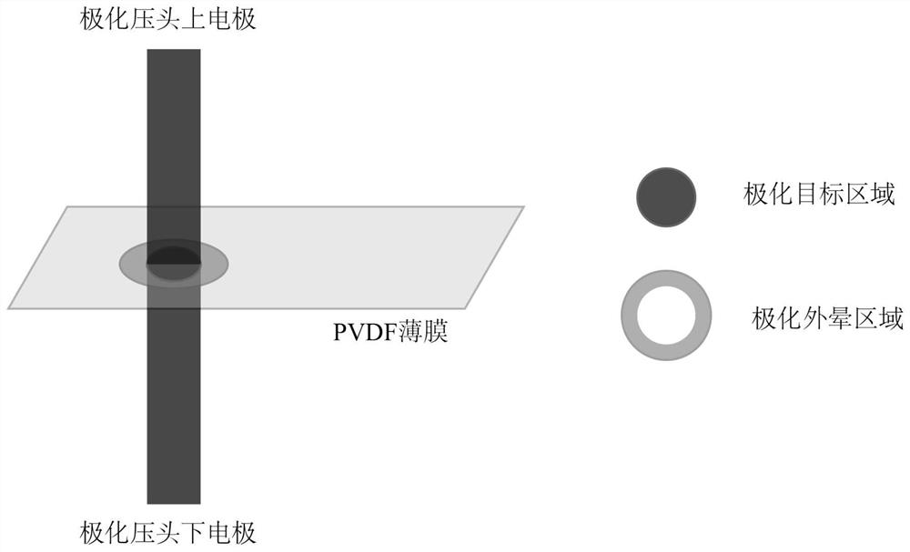 High-precision flexible piezoelectric film material local polarization method