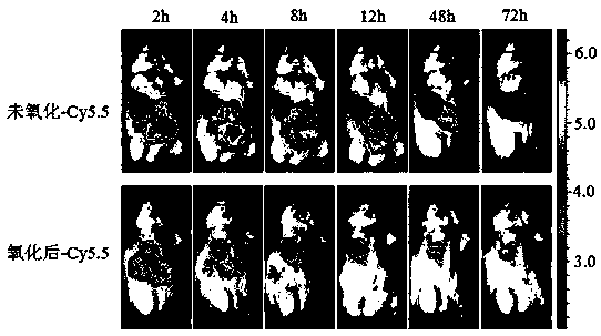 PH-reduction dual-response polymer embolization agent for tumor catheter-free embolization and synthesis thereof