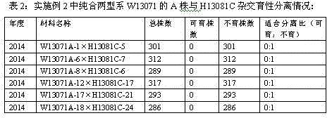 A method for improving the temporary protection line of Brassica napus-type recessive epistasis interaction genic male sterile rapeseed