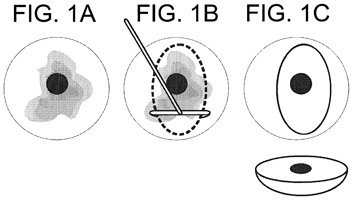 Photonic probe apparatus with integrated tissue marking facility