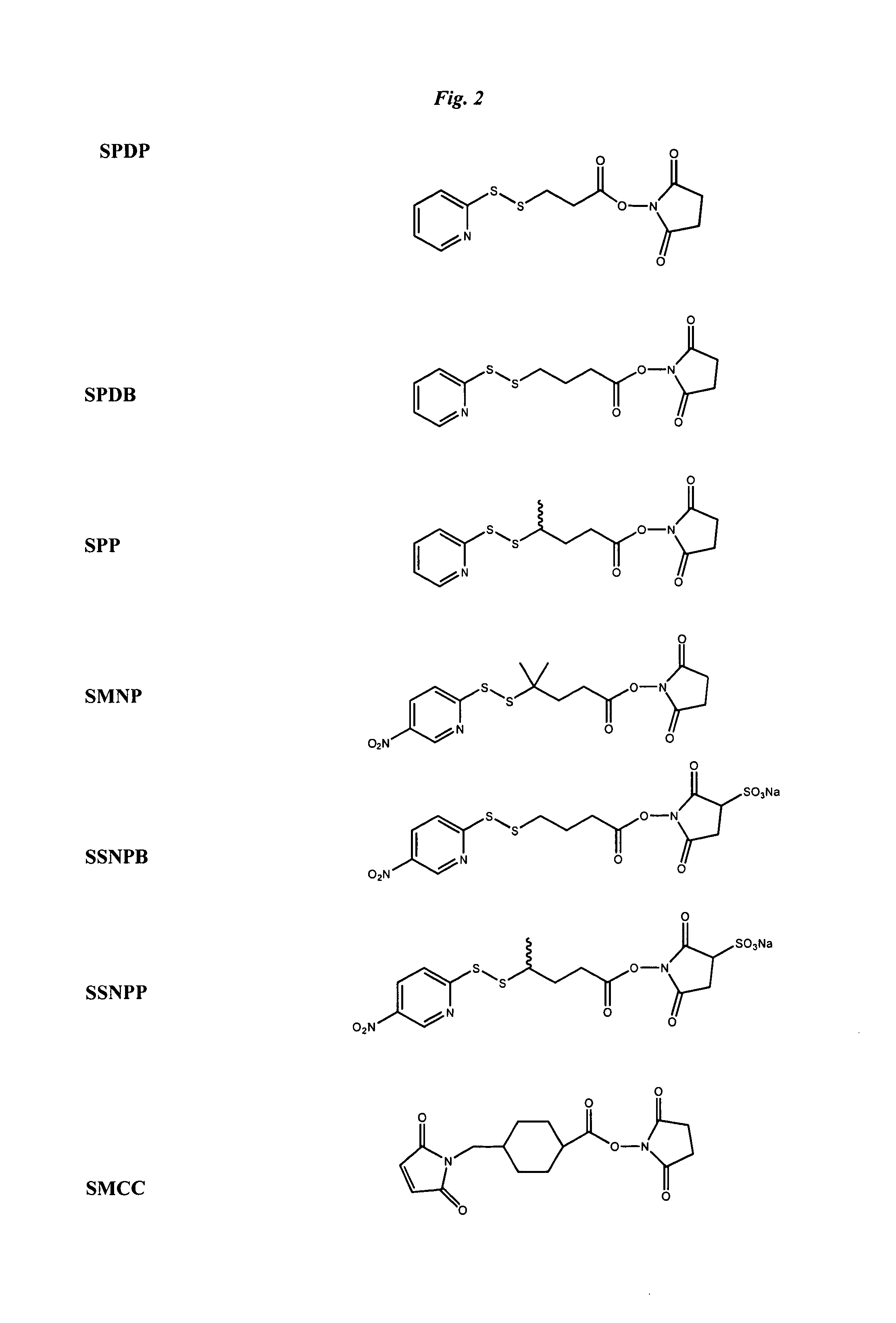 Anti-integrin immunoconjugates, methods and uses