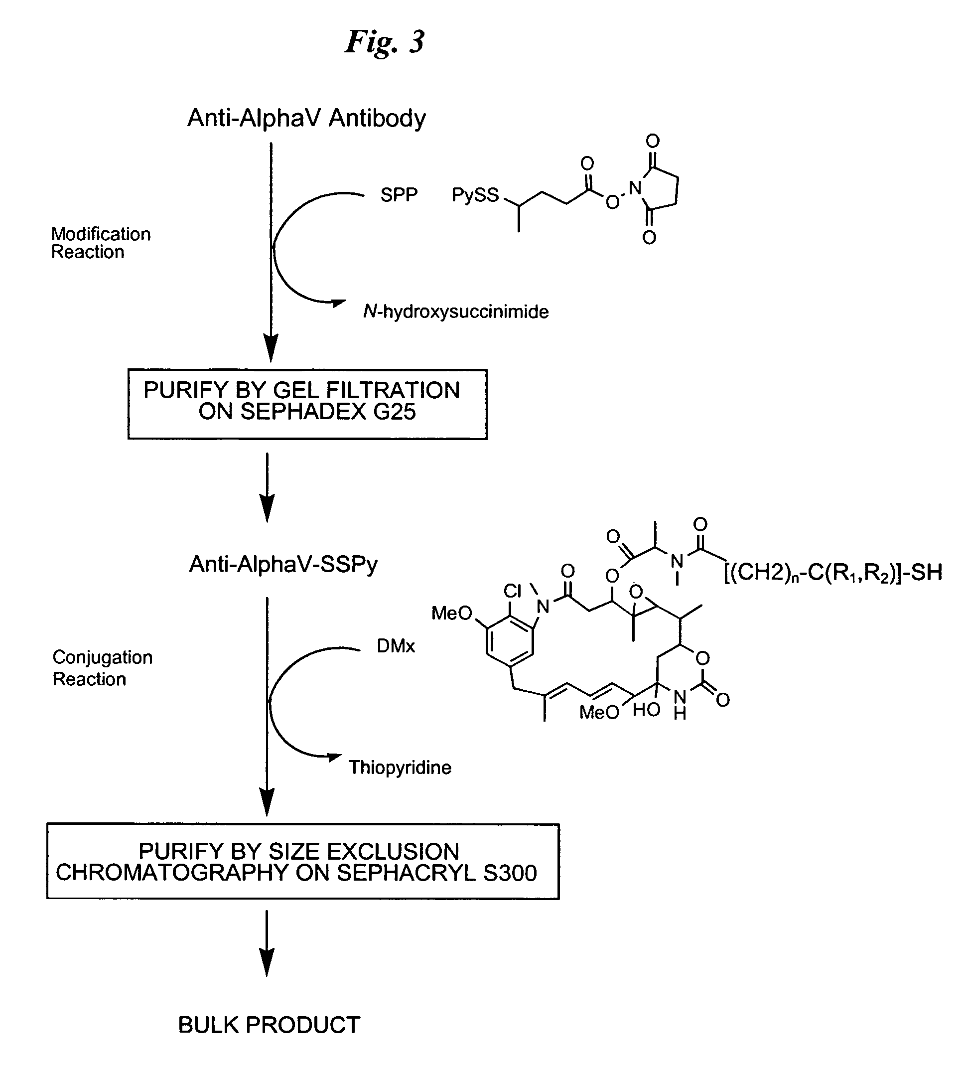 Anti-integrin immunoconjugates, methods and uses