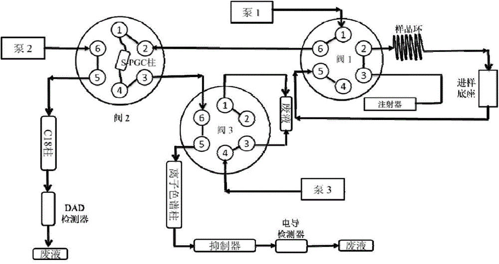 Method for simultaneously testing inorganic anions and aniline compounds by two-dimensional system