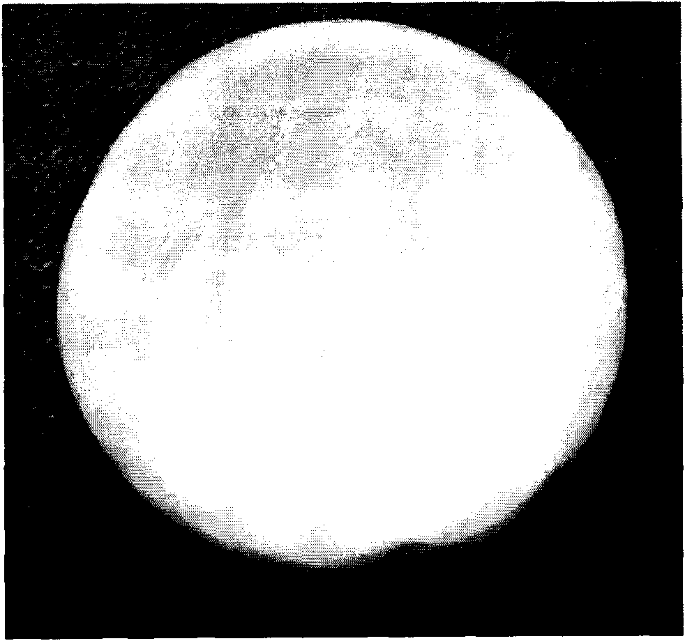 II type collagen sponge bracket and uses thereof