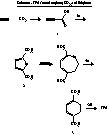 Production Of Terephthalic Acid Via Reductive Coupling Of Propiolic Acid Or Propiolic Acid Derivatives