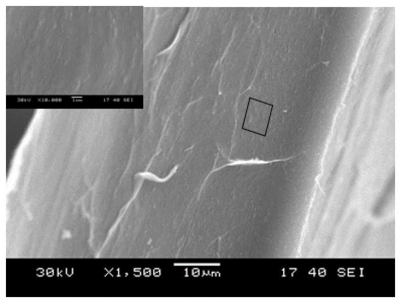 Bacteria cellulose hemodialysis membrane