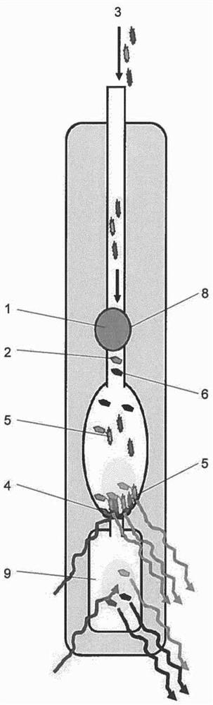 Method and device for detecting bacteria