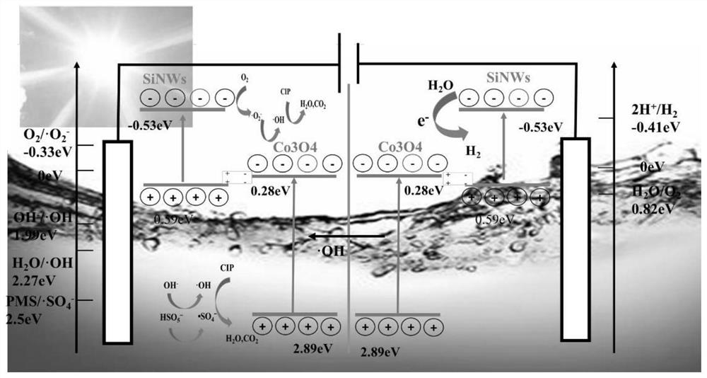 Method for synchronously degrading pollutants in water through photoelectrocatalytic hydrogen evolution