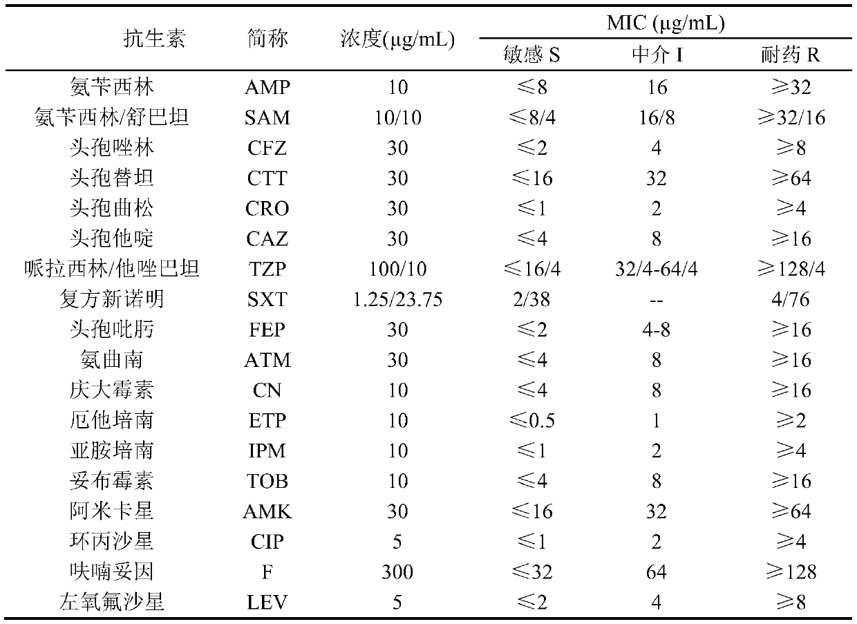 Application of sanguinarine in inhibiting growth of multi-drug-resistant serratia marcescens