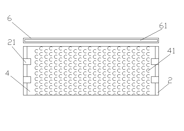 Broken warp capture device of water jet loom