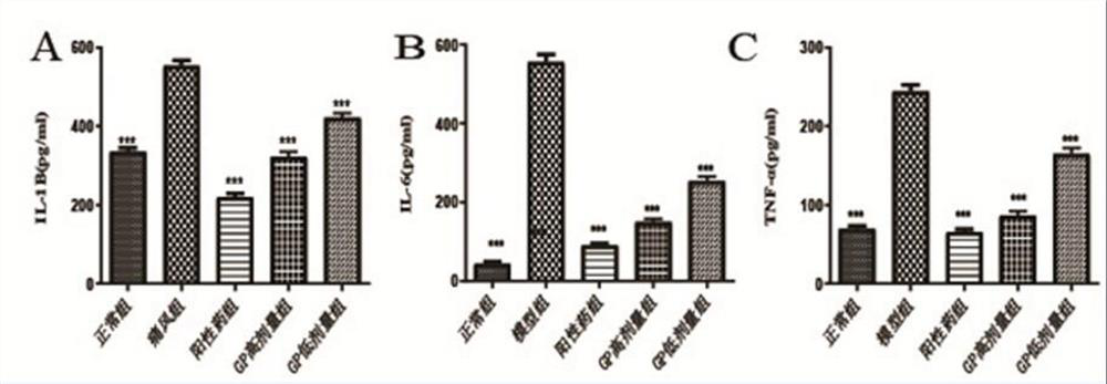 Application of fructus gardeniae and cortex platycladi decoction in preparation of medicine for treating acute gouty arthritis