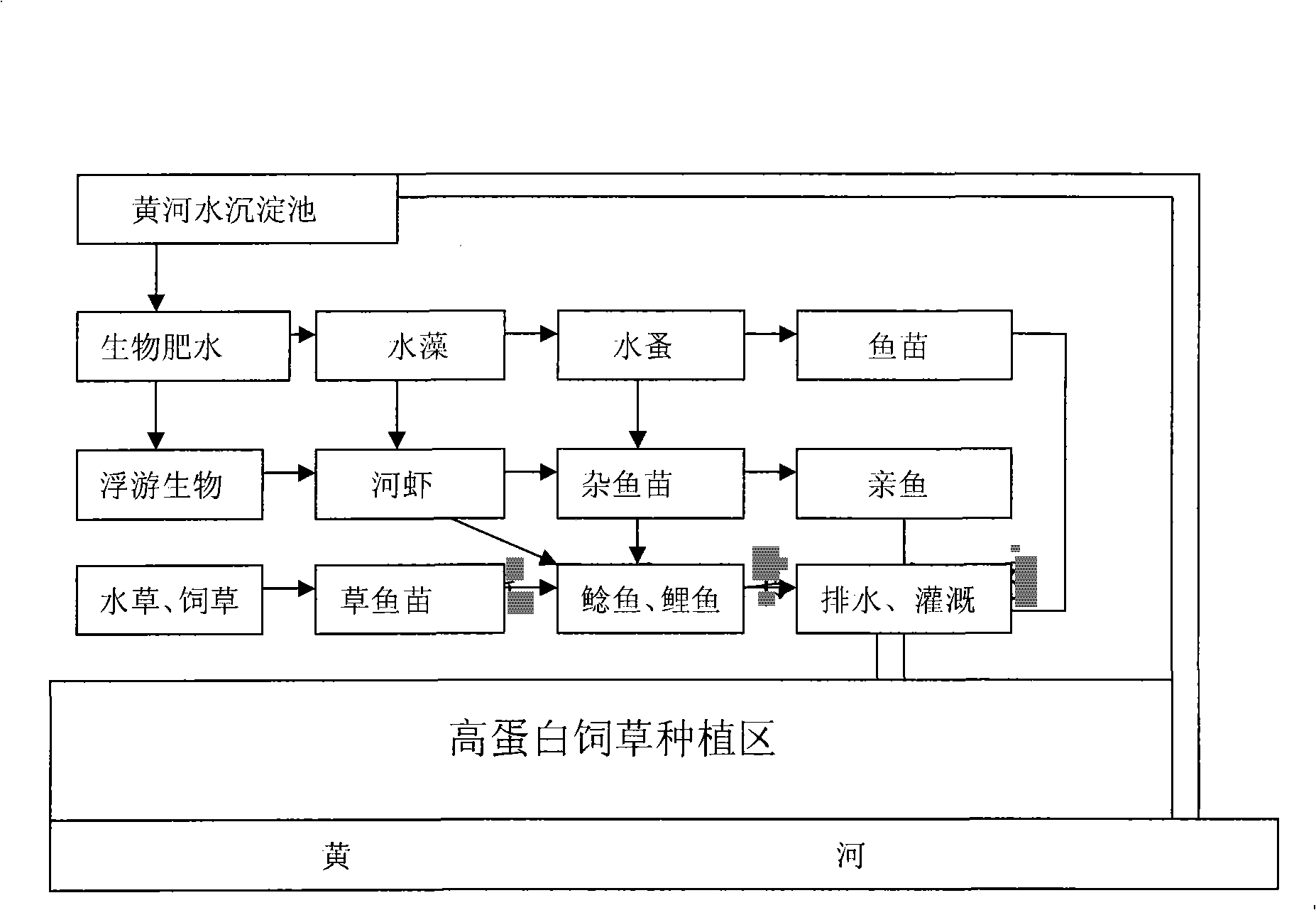 Method for ecosystem breeding of wild the Yellow River catfish and carp