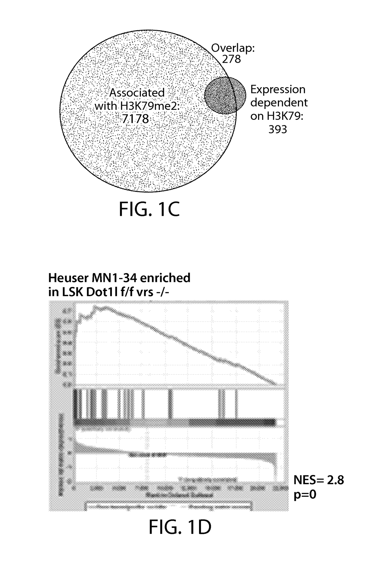 Dot1l inhibition in patients with mn1-high aml