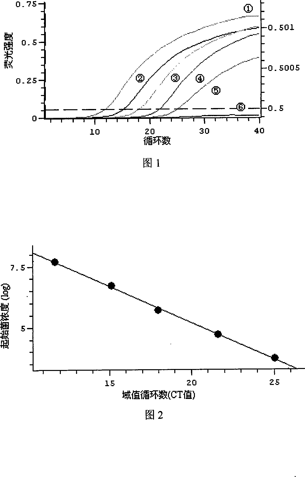 Primer and fluorescent probe for detecting sulfate reduction bacterial