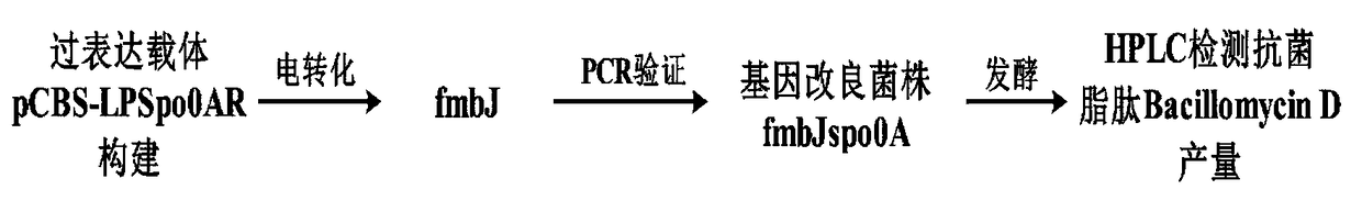 Method for increasing yield of antifungal peptide bacillomycin D by over-expression of spo0A gene