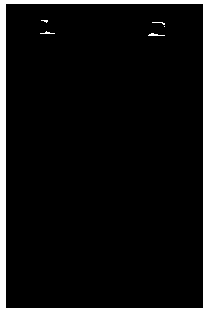 A kind of dextran sucrase and its application